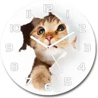 Tulup Wanduhr aus Glas 30fi Glasbild Glasuhr Gehärtetes Glas - weisse-zeiger - Cat in the hole