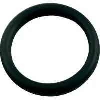 Polaris O-ring für schnelle wandmontage 6-505-00