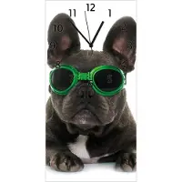 Wallario Design Wanduhr bedruckt, Größe 30 x 60 cm, Motiv: Cooler Hund mit Sonnenbrille in grün - Französische Bulldogge