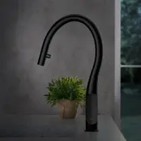 Fortis Küchenarmatur Bria Einhebel Küchenarmatur mit ausziehbarem Auslauf, Armatur Küche (Warmwasserarmatur & Kaltwasserarmatur, Kaltwassserhahn)