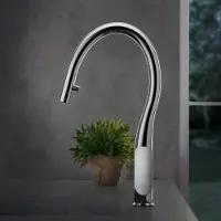 Fortis Küchenarmatur Bria Einhebel Küchenarmatur mit ausziehbarem Auslauf, Armatur Küche (Warmwasserarmatur & Kaltwasserarmatur, Kaltwassserhahn)