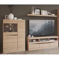 Lomadox TV Wand mit Beleuchtung SANFORD-129 in Eiche hell Nb., B/H/T: ca. 250/170/40 cm