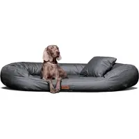Tierlando Orthopädisches Hundebett LENNART VISCO PLUS Kunstleder - Größe: 140x105cm | Farbe: 02 Graphit