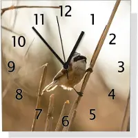 Wallario Design Wanduhr Vogel im Schilf aus Echtglas, Größe 30 x 30 cm