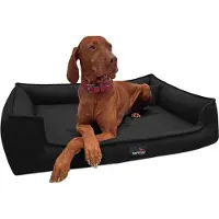Tierlando Orthopädisches Hundebett GUSTAV SCANDI CHIC Große Hunde XL Hundesofa - Größe: 110x90cm | Farbe: 03 Schwarz
