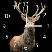 Wallario Design Wanduhr Stattlicher Rothirsch aus Echtglas, Größe 30 x 30 cm