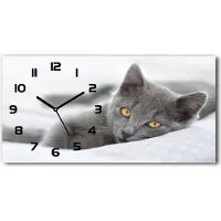Tulup Wanduhr aus Glas – 60x30 cm - Glasbild - Glasuhr - Gehärtetes Glas - schwarze-zeiger - graue Katze