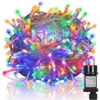 Rosikey 100M LED Lichterkette Strom, Wasserdicht Garden 8 Modi Lichterketten mit Timer Speicherfunktion für Innen Party Hochzeit Balkon Weihnachten, Bunt