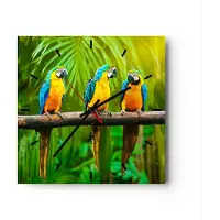 ARTTOR Wanduhr - Quadrat - Glasuhr - Papageien Collorful Natur Vögel - 40x40cm - Schleichendes Uhrwerk - Lautlos - zum Aufhängen bereit - Dekoration Modern - Wanddekoration aus Glas - C3AC40x40-2696