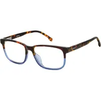 Carrera C FLEX 03/G Brown havana 55/16/145 Herren Brillen