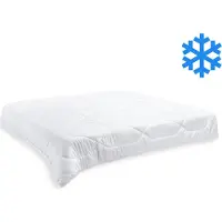 Brotex® Decke Thermo 200x200cm ganzjährig 1600g (400g/m2)