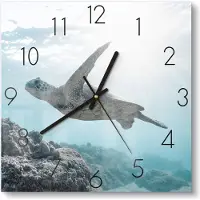 DEQORI Glasuhr 30x30 cm Zahlen 'Sonnenstrahlen Segler' Wanduhr Glas Uhr Design leise Küchenuhr