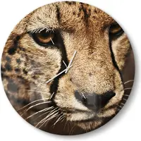 DEQORI Glasuhr Ø50 cm Modern 'Wunderschöner Gepard' Wanduhr Glas Uhr Design leise