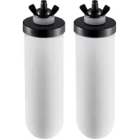 SucceBuy -Wasserfilter-Ersatz, Keramik-Reinigungselemente, einfach auszutauschen, mit den meisten Marken kompatibel, Schwerkraftsystem, 2er-Pack, weiß