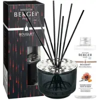 Maison Berger Variation Graue Geschenkbox 1 Stk