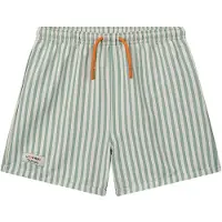Liewood Duke Stripe Badehose, Stripe Peppermint/Crisp White, 110