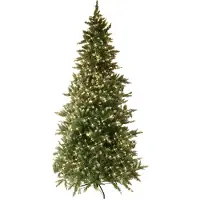 Best Season LED-Weihnachtsbaum "Vancouver" beleuchtet ca. 225cm, 550 warm white LED, grün, mit Trafo, 608-60