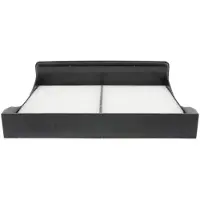 Champion Filter, Innenraumluft CCF0177