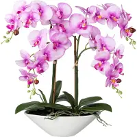 Neuvedené Kunstpflanze Phalenopsis Höhe: 53 cm lila