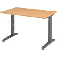 Hjh OFFICE PRO XTRA XB 12 GG - Buche 120 x 80 höhenverstellbar