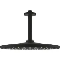 GROHE Rainshower Mono 310, Schwarz, 1 Stück(e)