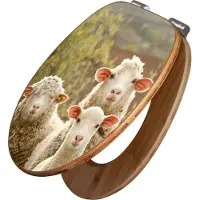 Banjado Design WC Sitz Bambus Absenkautomatik -Schaffamilie - Toilettendeckel mit Absenkautomatik Holz/hochwertiger Bambus Klodeckel/WC-Sitz für alle gängigen Toiletten [TDB2 10473]