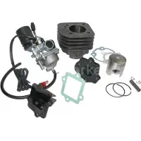 Untimero NEU 50ccm Zylinder KIT VERGASER KOMPLETT für AJS Firefox 50 Zylinderkit