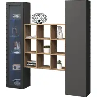 Freiraum Wohnwand >Benevent< (3-teilig) in Anthrazit matt - 170x180x30 (BxHxT)