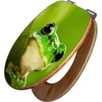 Banjado Design WC Sitz Bambus Absenkautomatik - Frosch - Toilettendeckel mit Absenkautomatik Holz/hochwertiger Bambus Klodeckel/WC-Sitz für alle gängigen Toiletten [TDB2 10102]
