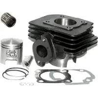 Untimero 60 Tuning Zylinder Nadel Lager GANZES Set für Pegasus ZEG SOLERO R50X RX 50