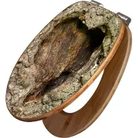 Banjado Design WC Sitz Bambus Absenkautomatik - Altes Herz - Toilettendeckel mit Absenkautomatik Holz/hochwertiger Bambus Klodeckel/WC-Sitz für alle gängigen Toiletten [TDB2 12349]