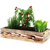 Lermowood Lermowoood Hochbeet aus Holz 40x40x20 cm Geflammt – Pflanzkasten für Gemüse & Kräuter – mit Agrovließ – steckbar & stapelbar- Aussenbereich ideal für Garten, Balkon & Terrasse