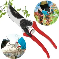 Sarcia.eu Hand GARTENSCHERE, Gartenschere FÜR ÄSTE, Strauchschere, SCHARF 20 cm