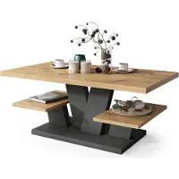 ALL4ALL Couchtisch Valerio , Wohnzimmertisch , Kaffeetisch , Tisch mit Ablagen , Esszimmertisch , Coffee Table , 110x60cm , Artisan+ Antracyt