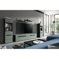 Freiraum Wohnwand >Canu< in Basalt Grau / Smoke Green - 272x141x33cm (BxHxT)