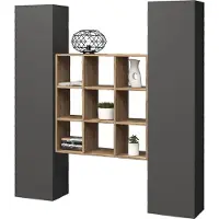 Freiraum Wohnwand >Benevent< (3-teilig) in Anthrazit matt - 170x180x30 (BxHxT)