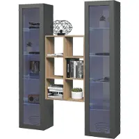 Freiraum Wohnwand >Benevent< (3-teilig) in Anthrazit matt - 140x180x30 (BxHxT)