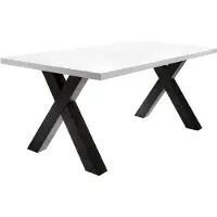 58 aufm Kessel Esstisch ausziehbar Eike 7 160 x 90 x 75 Esszimmertisch Schwarzstahl/Weiß Matt Lack 13442-160