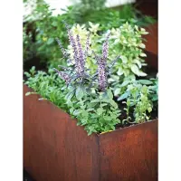 Saremo Edelrost Hochbeet, Länge 120 cm, Breite 100 cm HB Länge 120 cm Breite 100 cm - Höhe 60 cm
