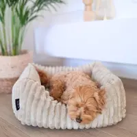4L Textil BELLA Hundebett Plüsch für kleine Hunde, Weiches Hundekörbchen, Flauschiges Hundekorb Waschbar Katzenbett Katzenkörbchen (60x40 cm, Beige)