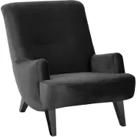58 aufm Kessel Sessel Kajsa 71x80x101 Bezug Samtvelours Buche schwarz/schwarz
