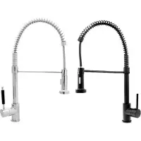 Faizee Home [Armatur Spiral in Chrom und Schwarz] Spiralfederarmatur mit Brausekopf Wasserhahn Küchenarmatur für Küchen