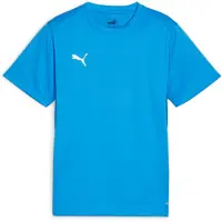 Puma Fußballtrikot "TEAMGOAL JERSEY JR" für Jugendliche, Fußball, Kurzarm, sportlicher Stil
