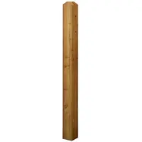 GartenLand Pfosten Angeschrägte Spitze Holz Lärche PEFC für Serie GRAZ 9x9x115 cm