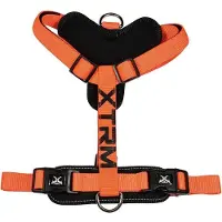 Nayeco X-trm Cronos Neon Flash Hundegeschirr Orange 20 mm x 46-75 cm Orange 20 mm x 46-75 cm