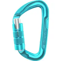 Edelrid - Pure Triple III - Verschlusskarabiner türkis