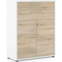 Ebuy24 Prisme Aktenschrank mit 2 Schubladen und 2 Türen weiss, Eiche Nachbildung