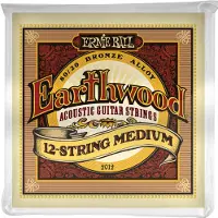 Ernie Ball Earthwood 2012 80/20 Bronze 12-String Medium Satz 11-28