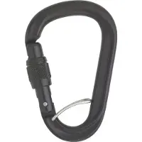 Austrialpin HMS Rondo Screwgate Karabiner with Selfie schwarz