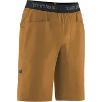 Edelrid Legacy Iv Kurze Hose Grün L Mann Grün L